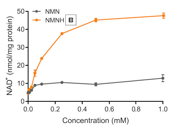 NMNH (amorphous) vs. NMN